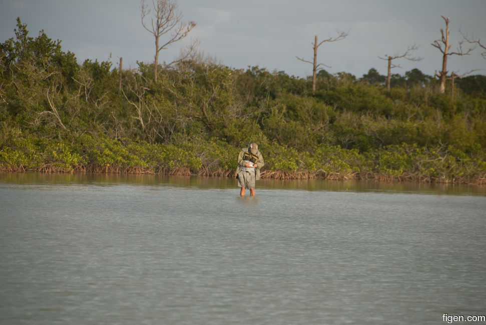 big_081204-bahamas-abaco-frank-tail4.jpg