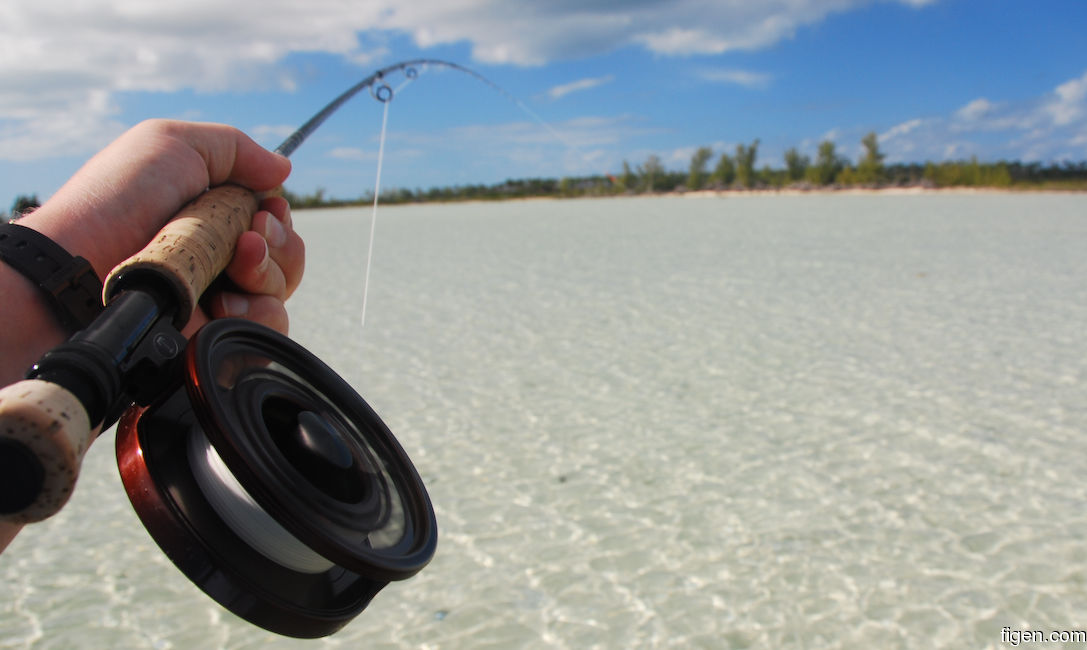 big_081205-bahamas-abaco-flat3-fishon.jpg