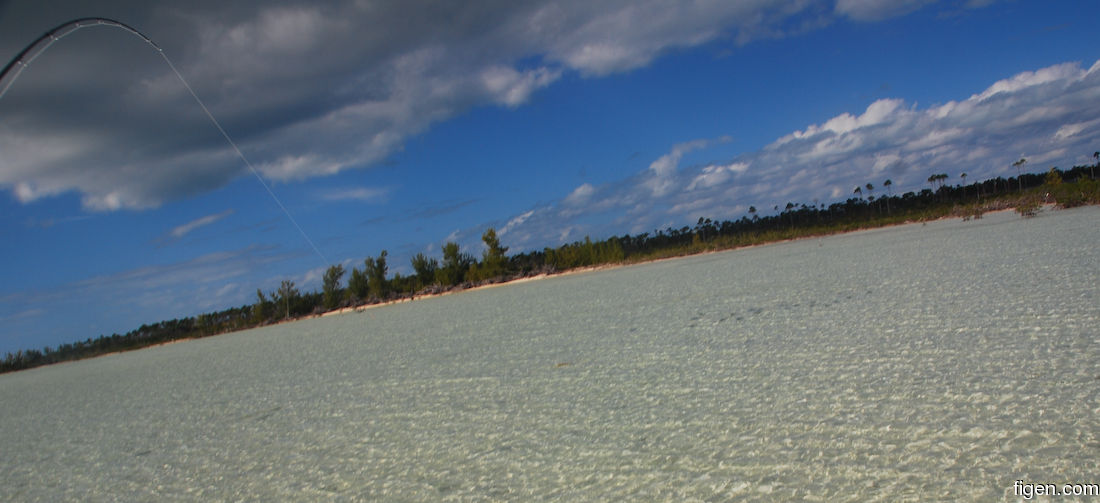 big_081205-bahamas-abaco-flat3-fishon2.jpg