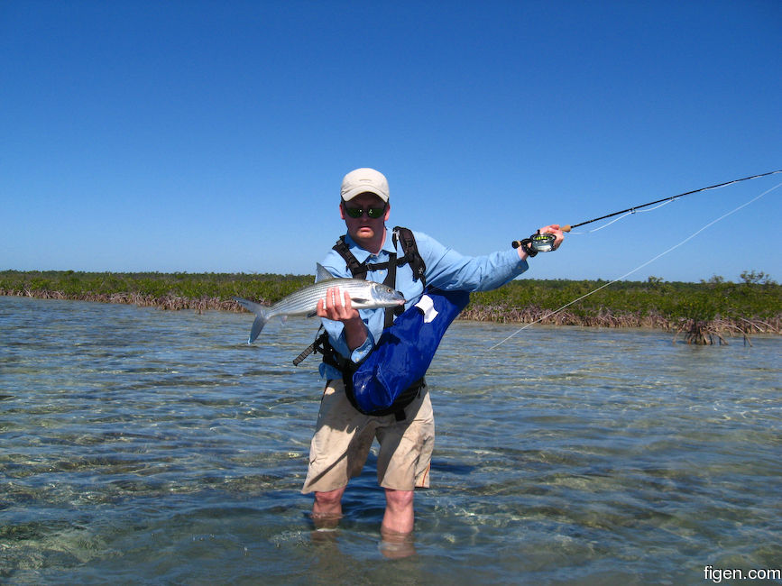 big_090128-bahamas-abaco-julern-fisk2.jpg