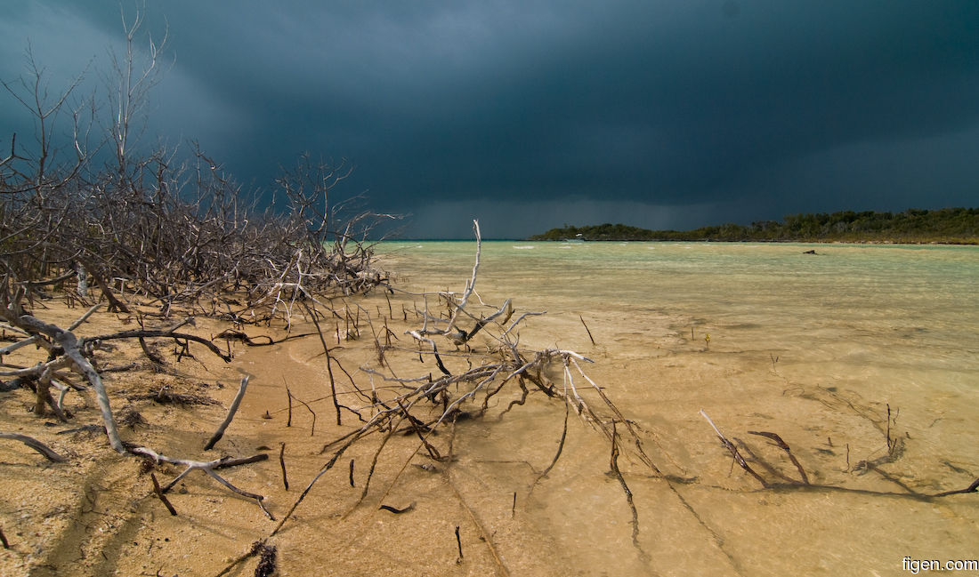 big_090130-bahamas-abaco-bingo-cay3.jpg