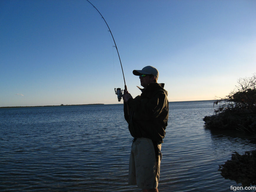 big_090204-bahamas-abaco-spinner.jpg