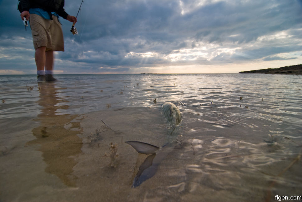 big_090207-bahamas-abaco-julern-bone2.jpg