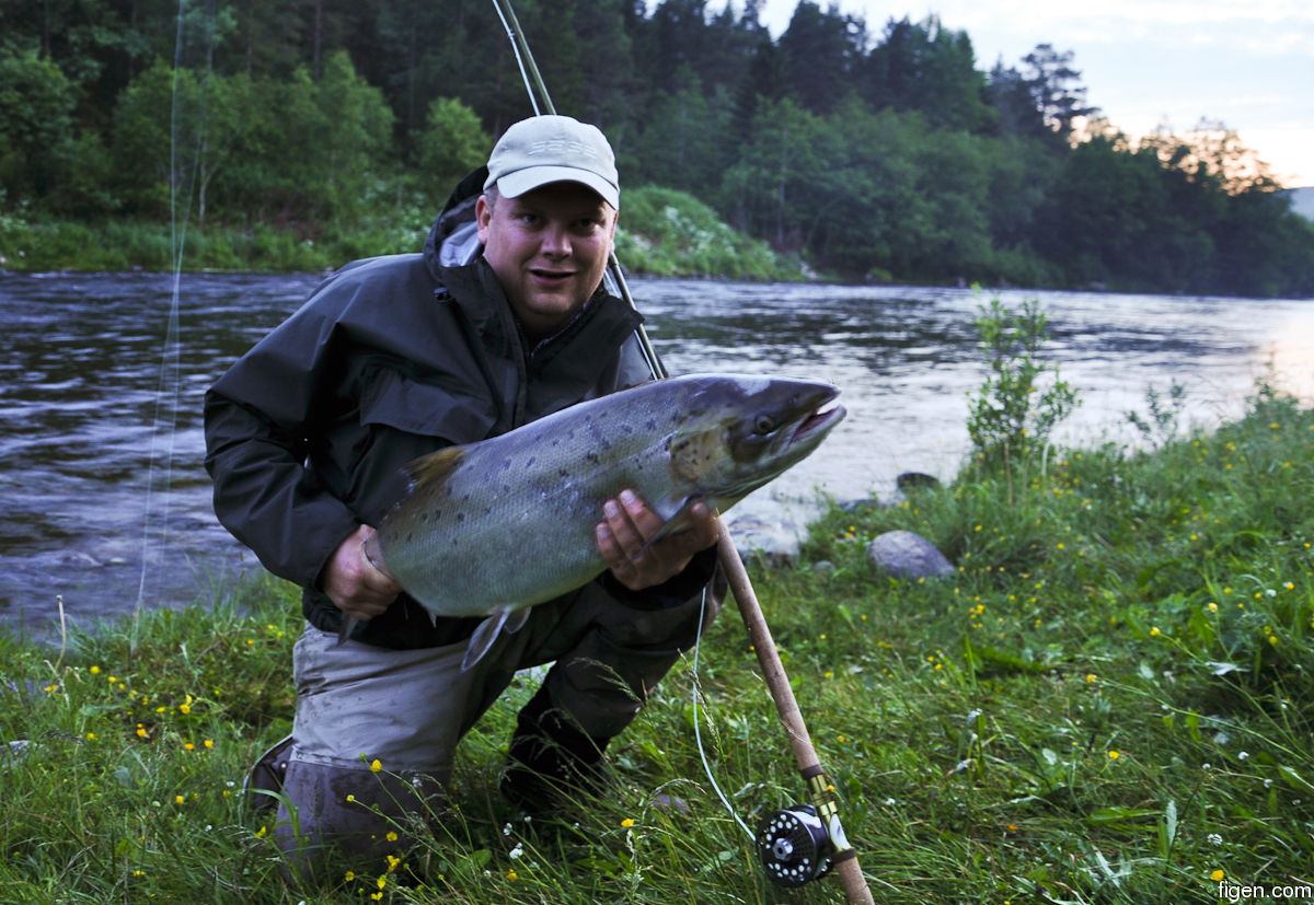 big_090630-Orkla-Norgjerholen-figen-fisk2-CJ.jpg