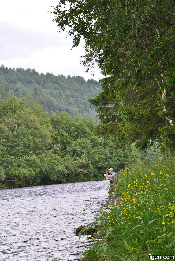 big_090701-Orkla-Rennebu-Figen-kaster-CJ.jpg