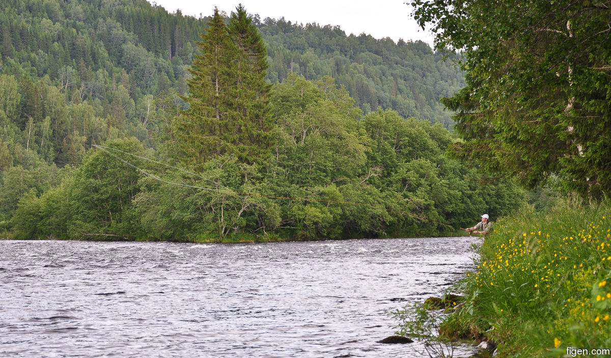 big_090701-Orkla-Rennebu-Julern-kaster.jpg
