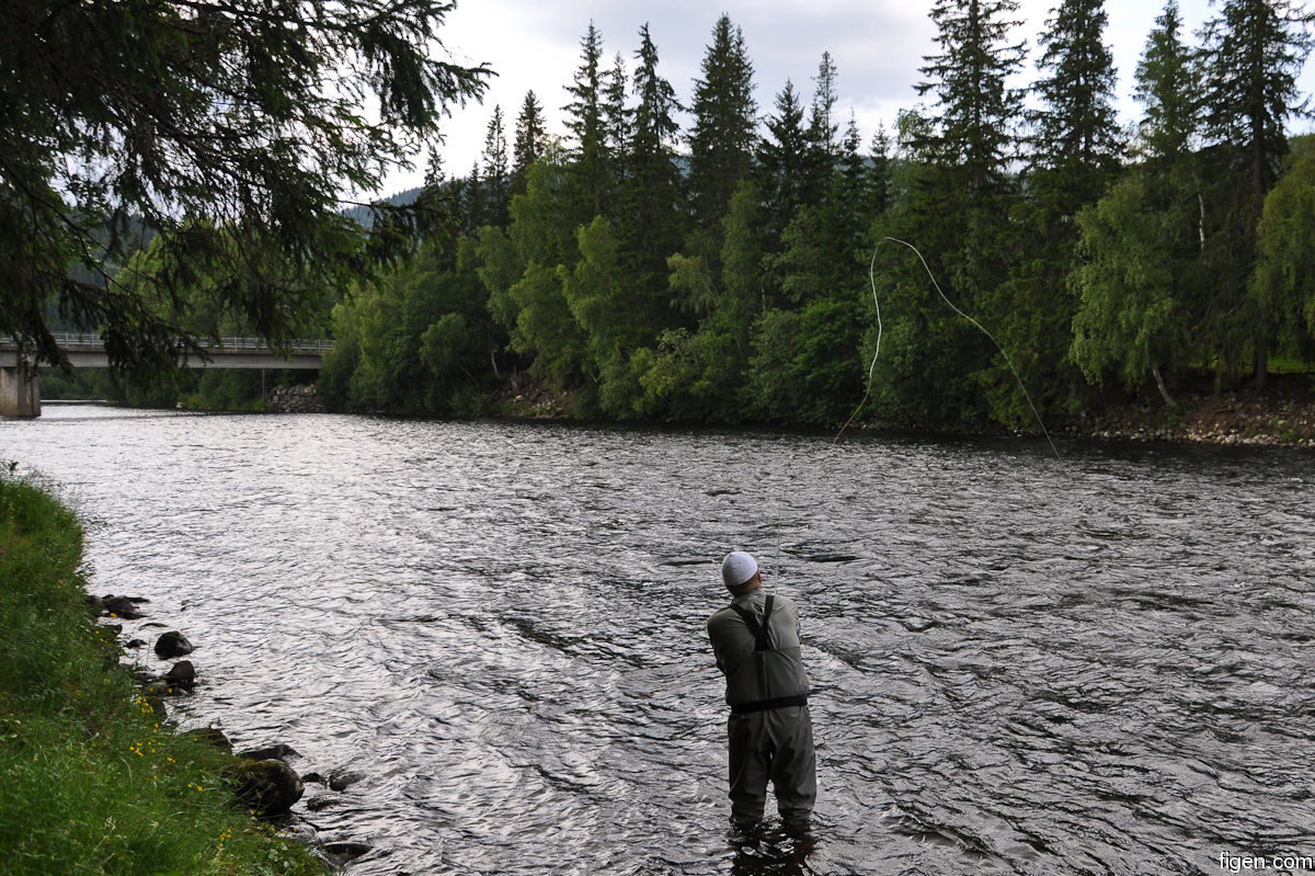 big_090701-Orkla-Rennebu-Julern-kaster2.jpg