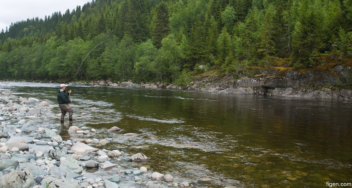 big_100612-Orkla-langholen-figen-kjorer.jpg