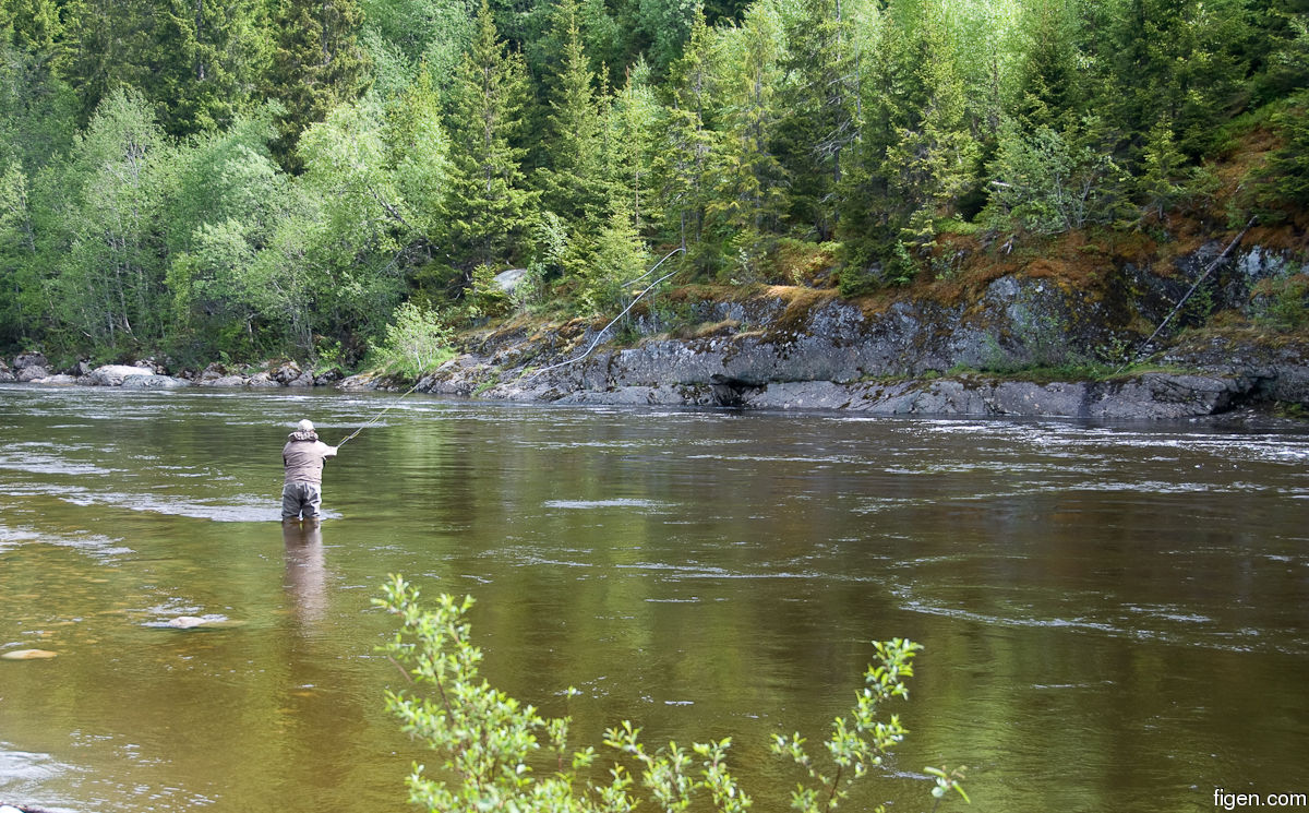 big_100613-Orkla-langholen-alfsen.jpg