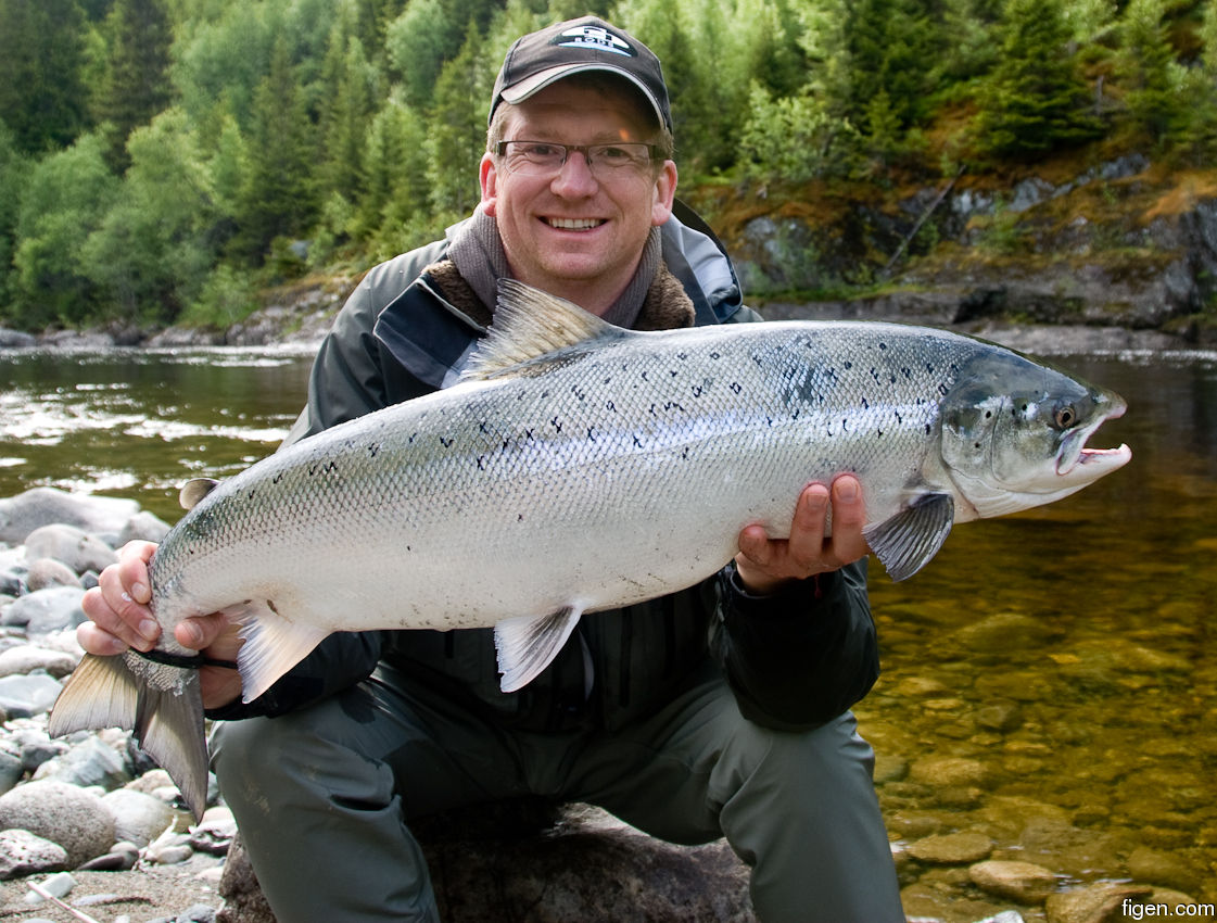 big_100615-Orkla-langholen-julern-laks.jpg