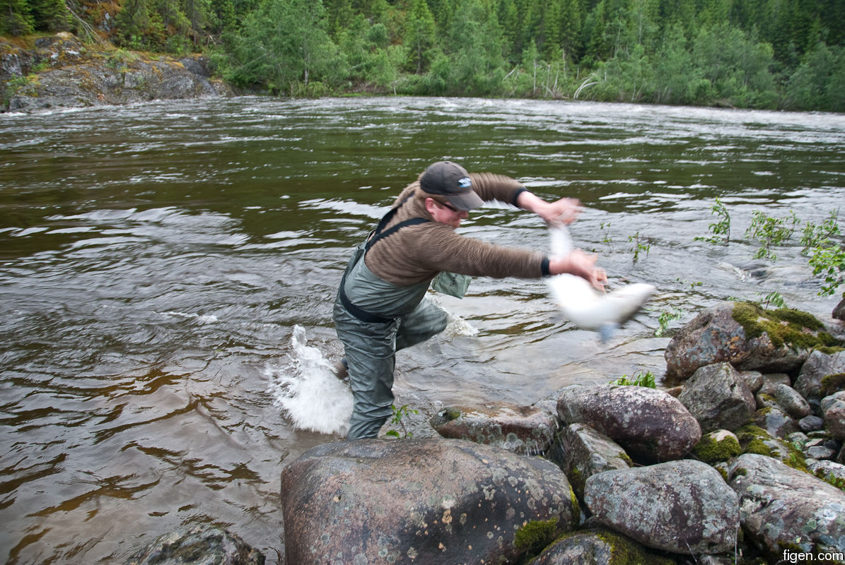 big_110613-Orkla-Handbaggan-Julern-lander7-DB.jpg