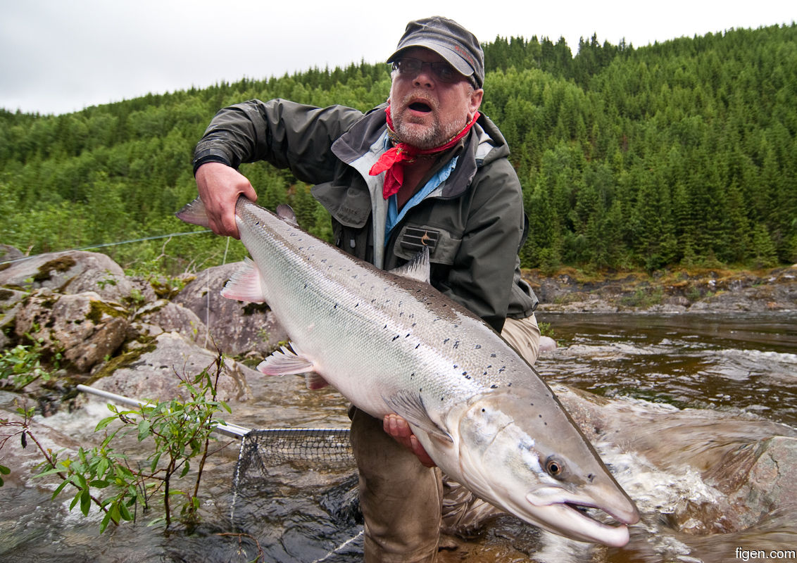 big_110615-Orkla-Handbaggan-Dariusz-fisk.jpg