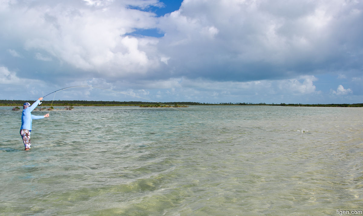 big_111211-bahamas-abaco-Lars2.jpg