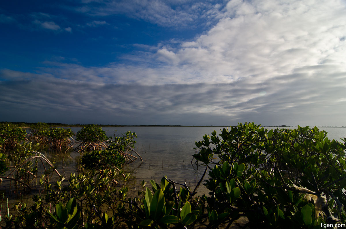 big_111216-bahamas-abaco-colors.jpg