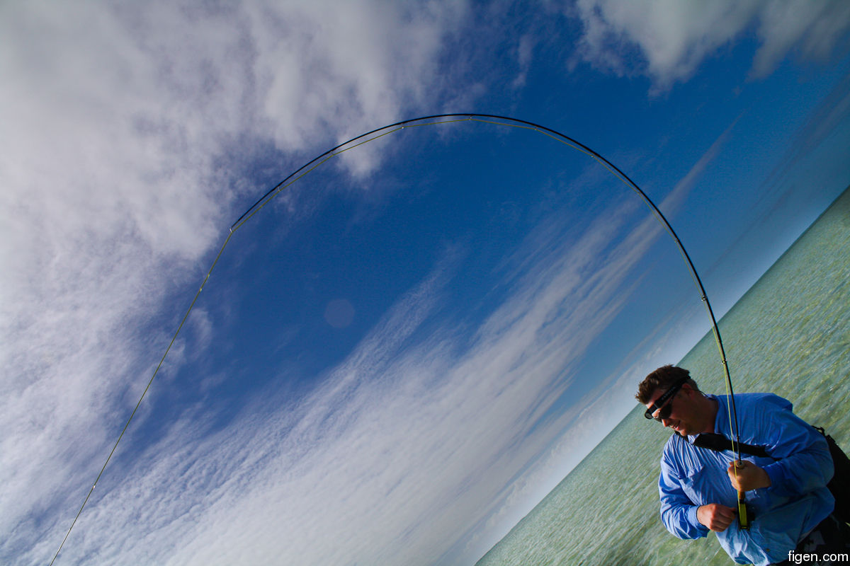 big_111216-bahamas-abaco-figen4-LJ.jpg