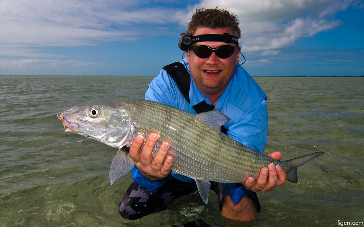 big_111216-bahamas-abaco-figen5-LJ.jpg