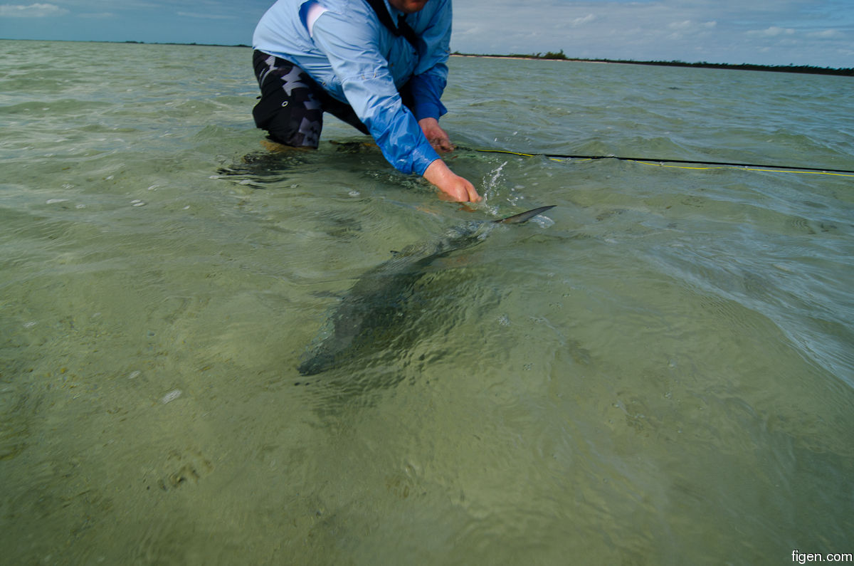 big_111216-bahamas-abaco-figen8-LJ.jpg