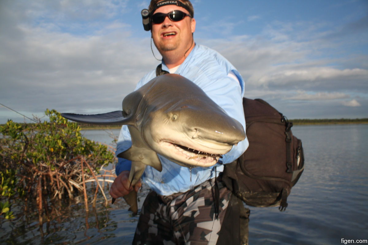 big_111217-bahamas-abaco-shark-LJ.jpg