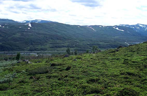 big_970922-filefjell1.jpg