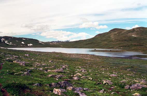 big_970922-filefjell3.jpg