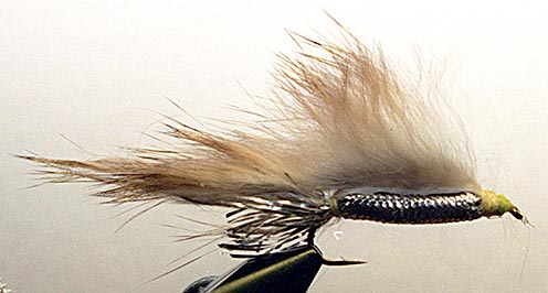 big_980403-hvit_zonker.jpg