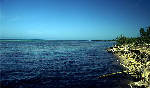 ocean view - cozumel