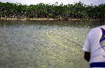 big_010220-mexico-punta_allen-willy_casting2.html