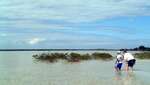 big_020306-mexico-punta_allen-lagune-figen-potro-scouting-DB.html