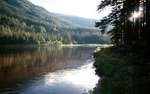 big_020702-Trysil-Oppstroms-sti.html