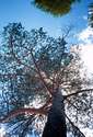 big_020705-Trysil-Tre-Figen-POV.html