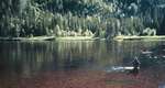 big_020709-Trysil-Dariusz.html