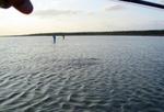 en_big_040216-Bahamas-Abaco-Purka-bonanza2.html