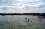 en_big_040220-Bahamas-Abaco-Snake_Cay3.html