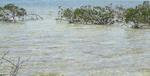 en_big_040222-Bahamas-Abaco-Purka-cuda.html