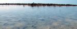 en_big_040222-Bahamas-Abaco-Purka-school-DB.html