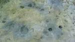 big_040507-Bahamas-Abaco-Bonefish-holes.html