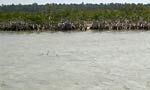 big_040507-Bahamas-Abaco-Bonefish-tailing2.html