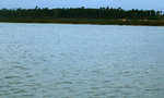 big_060123-Bahamas-Abaco-tailing-bonefish.html