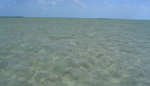 big_060307-Bahamas-Abaco-windy-fish.html