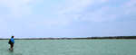 big_060308-Bahamas-Abaco-Figen-gjekk-DB.html