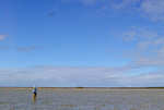 big_061127-Bahamas-Abaco-Julern-seagul.html