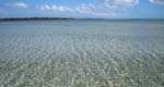 en_big_070222-Bahamas-Abaco-bone-KA.html