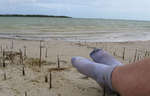 en_big_071030-Abaco-Dumpa-myfeet.html