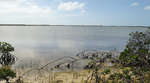 big_071102-Abaco-Purka-morning.html