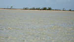 en_big_071102-Abaco-Purka-openseas.html