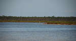 en_big_071103-Abaco-Purka-Frank.html