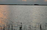 en_big_071103-Abaco-Purka-good-day.html