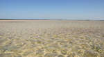 en_big_071103-Abaco-Purka-stim.html