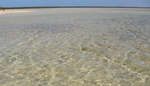 en_big_071103-Abaco-Purka-stim4.html