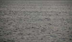 en_big_071103-Abaco-Purka-tailing.html